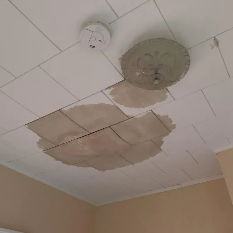 Ceiling Water Damage Repair in Plymouth, OH