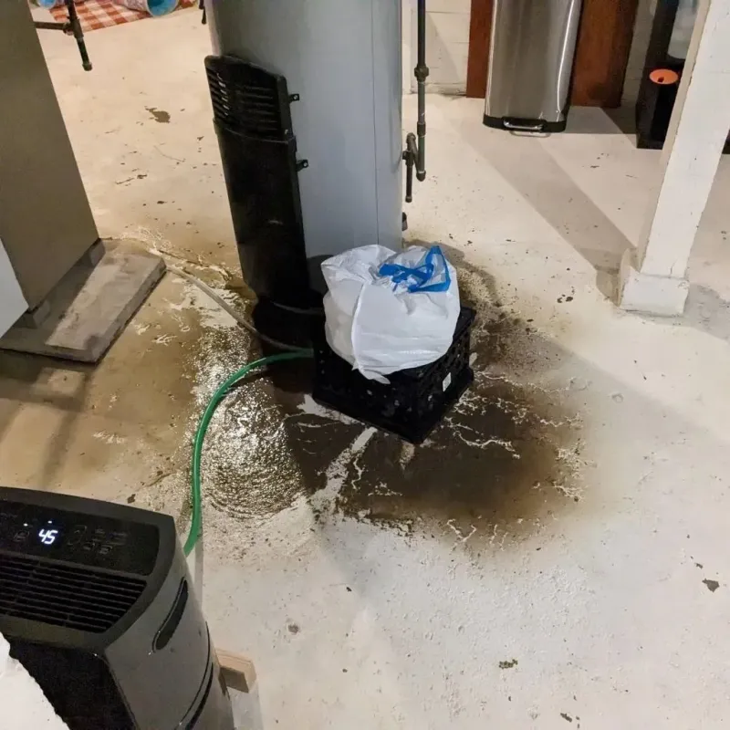 Sewage Backup Cleanup Service in Plymouth, OH
